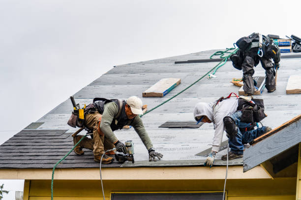 Professional Emergency Roof Repair technician working in Clatonia, NE